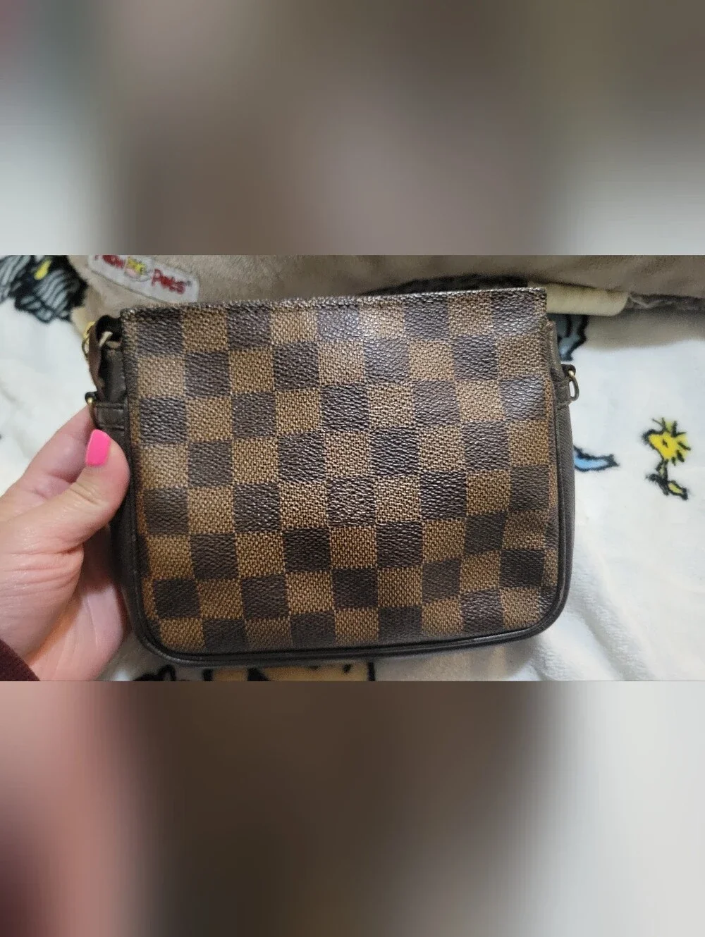 Louis Vuitton trousse pouch
